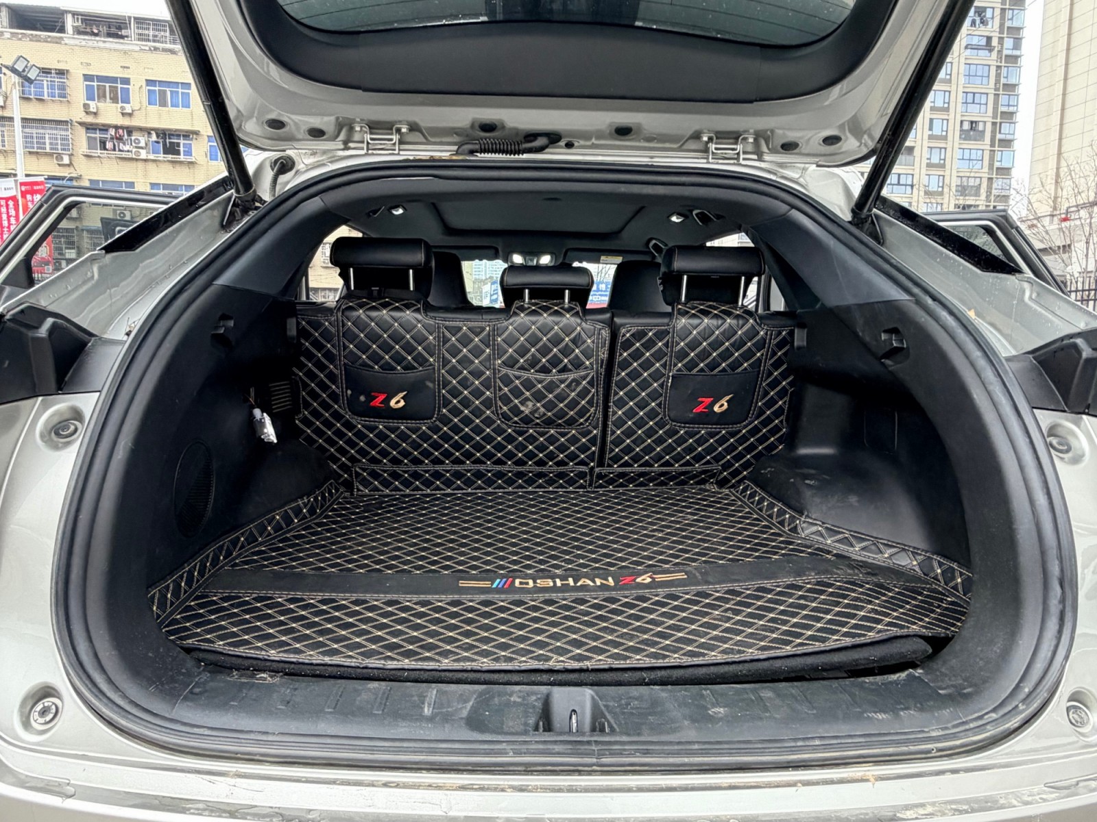 2023 Blue Whale 1.5TDCT