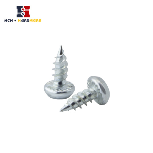 Pan Head Tapping Screws 304 Stainless Steel Pan Head Tapping Screws Supplier