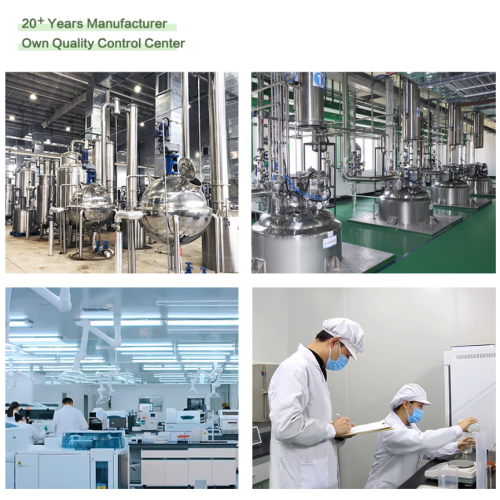 Aukšto grynumo liposominis silimarinas