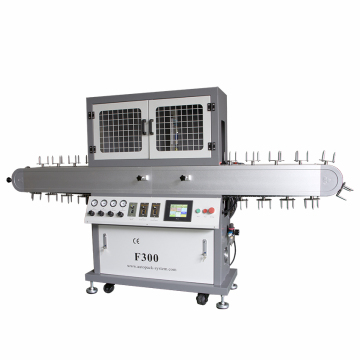 F300CE Flame Treatment Machine with CE Safety Closure