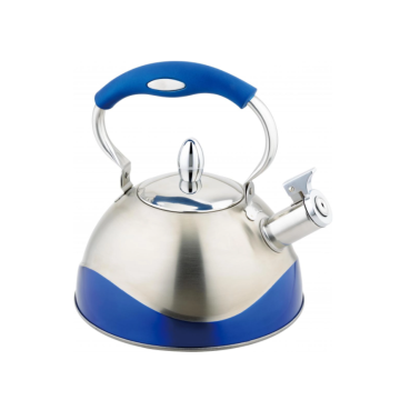 Stainless Steel Whistle Kettle Hot Sale Online