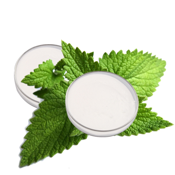 Stevia rebaudioside sweet leaf extract stevia powder