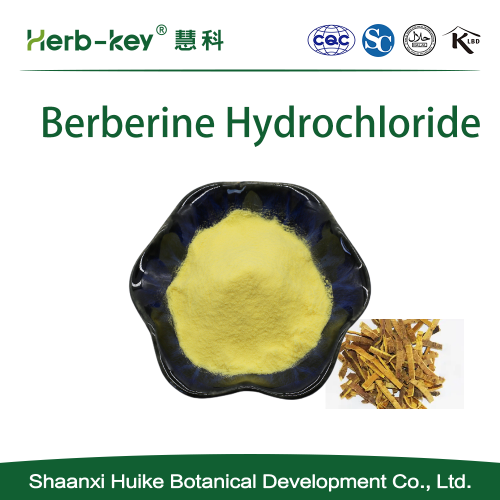 Phellodendron extract Berberine hydrochloride 97%