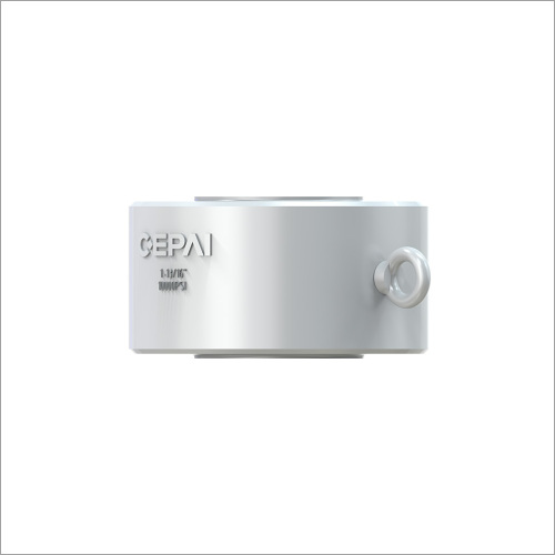 Double plate check valve