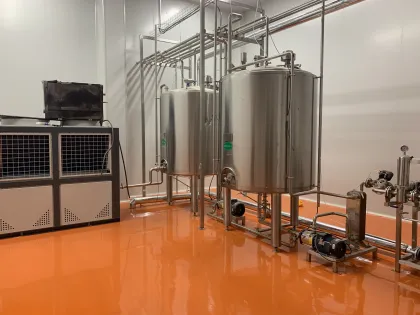 Pickled Vegetables and Fruits Enzymes Probiotics Beverage Production Line 500ml PET Bottle Filling