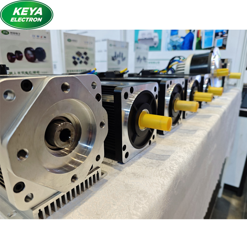 Custom Dc servo motor