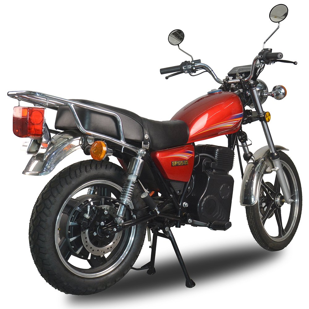 TZ hub-motor electric motorcycle (5)