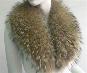 Chinese Raccoon skin Collar.