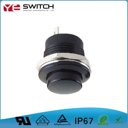 Electronic Precision Button Switch Reset Waterproof Switch