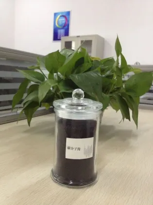 Carbon Molecular Sieve