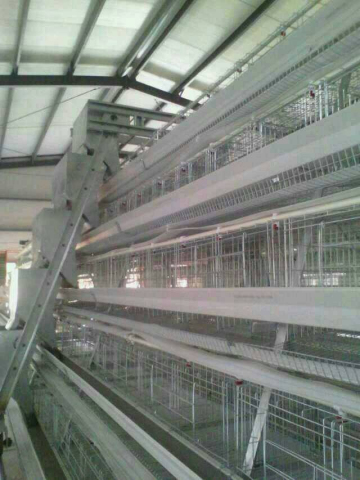 chicken cage for sale/ layer cages for sale/ design layer chicken cages