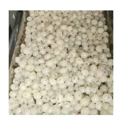 Automatic Longan Fruit Peeling and Shelling Machine
