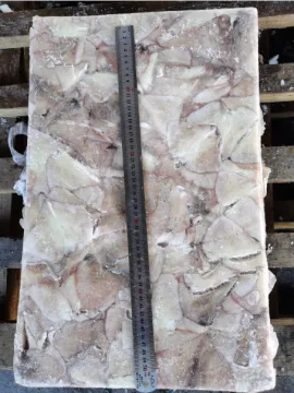 Frozen Squid Leftover Wing Illex Argentinus 100-200g