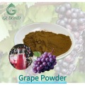 Высушенный распылением виноградный порошок для приготовления функциональных пищевых продуктов