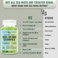 Immune Support Vegan Burdock Root Sea Moss Gummies