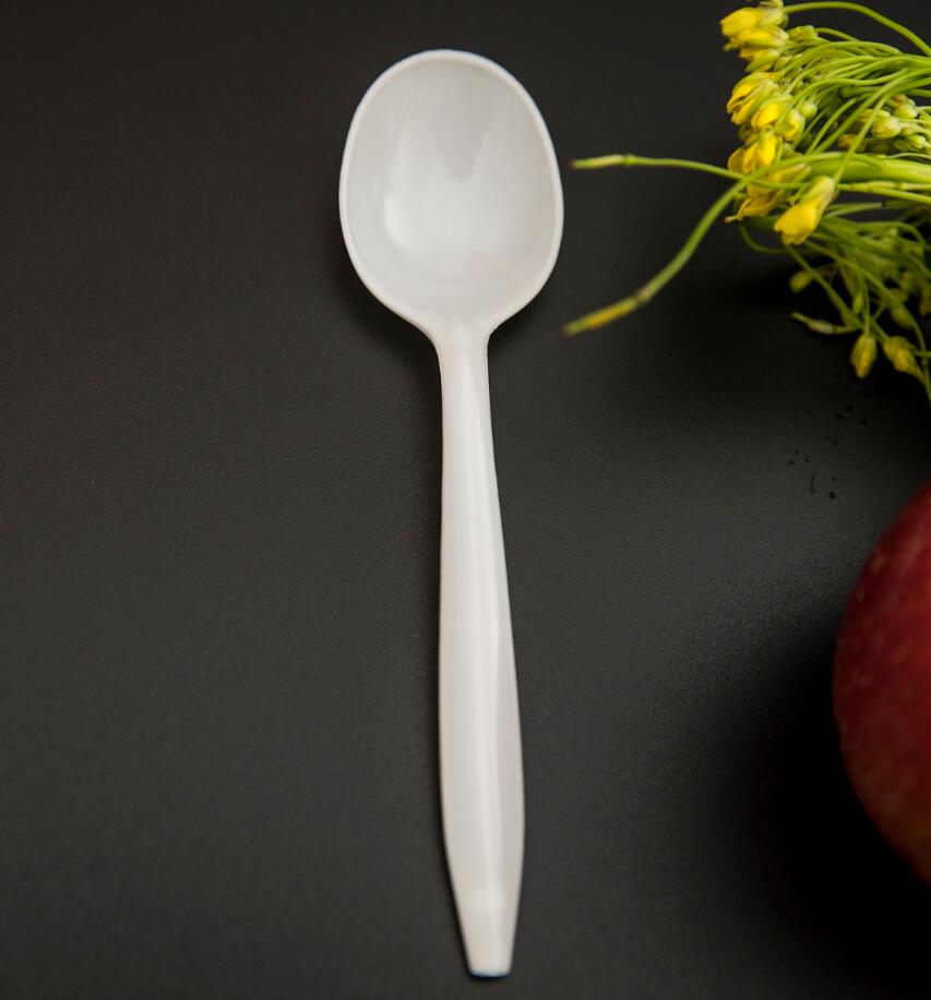 Food Grade Plastic Spoon