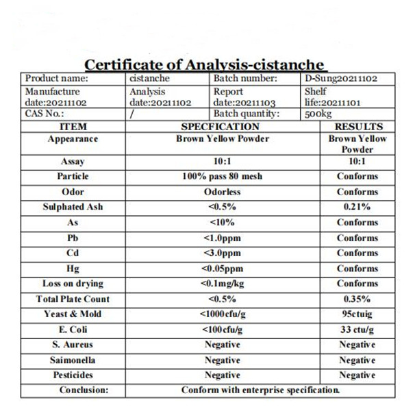 cistanche tubulosa extract powder