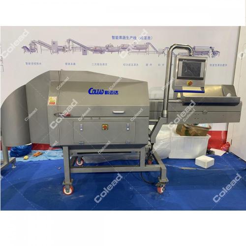 Industrial Slicing Machine for tomato, onion,pumpkin