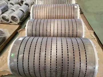 Squirrel cage rotor for large motors