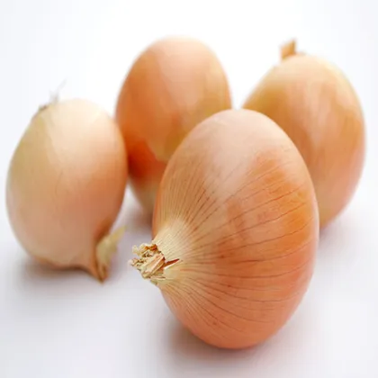 Fresh Onions