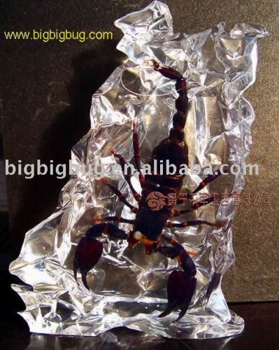 Scorpion Amber Decoration