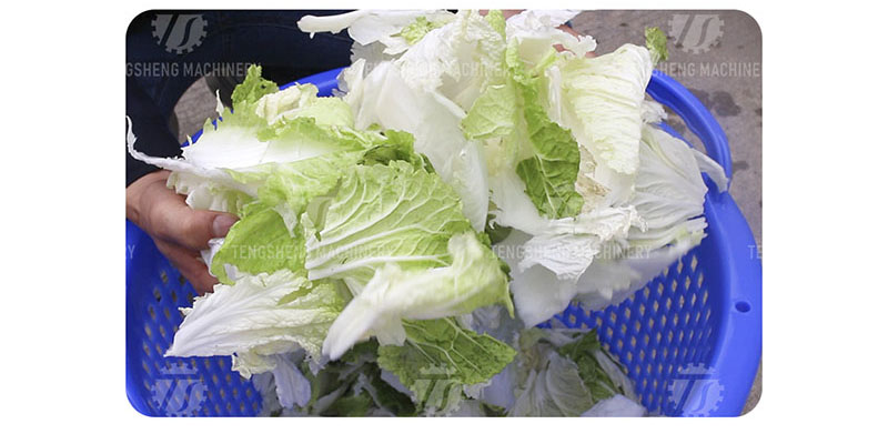industrial salad spinner