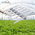 2021 Newest 2835 Led Grow Lights For Growing