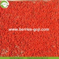 Factory Supply Fruits getrocknete Gesundheit Vorteile Goji Berry