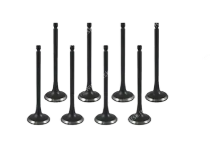 Intake Valve Set - Engine Replacement Valves