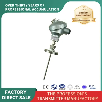 Adjustable E-grading Flange Mount Temp Probe