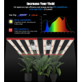 800W Hydroponic Plant Led Grow Light Full Spectrum