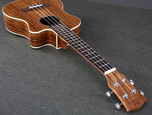I 7 Migliori Ukulele per Bambini - Forza Papà
