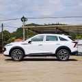 Family Car de 5 lugares Haval XY