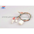 Custom Electrical wiring assembly