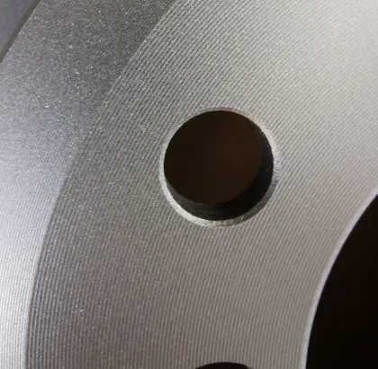 2 Disc Floating Brake Disc for Audi Automotive Brake System