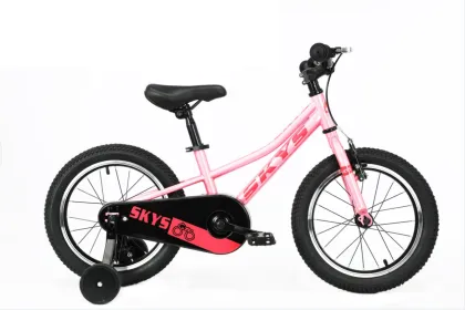 Steel Frame Children′ S Bike Double Disc Brake