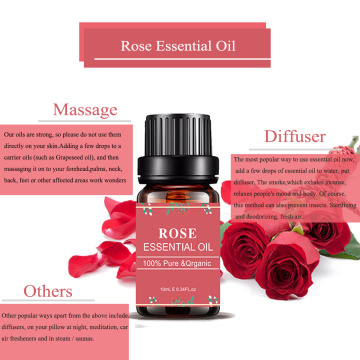 Private Rótulo Rose Massage Hair Face Body Care Óleo essencial