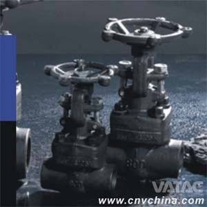 API 602 OS&Y Forged Gate Valve