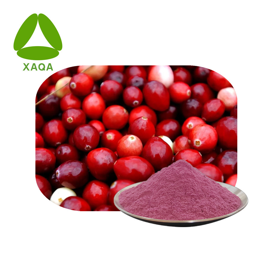 Extrato de cranberry natural procianidina 50% em pó 4852-22-6