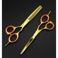 5.5'' Professional Hairdressing Scissors Cutting Shears Thinning Scissors Tijeras Human Hair Scissors 4 colors