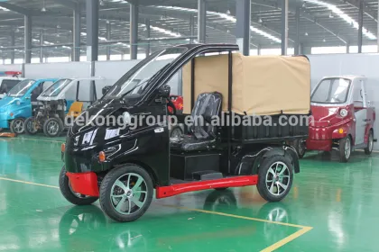 new design black small electric Van car