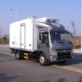 Dongfeng de 4.2 metros de camión refrigerado