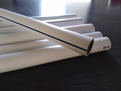 Affordable Cold Plastic Water Pipe PPR Pipe