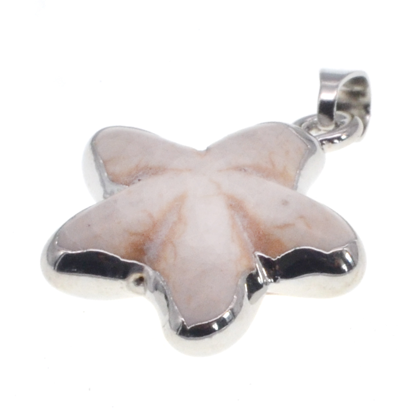 Pendentif étoile Howlite en argent / or