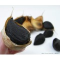 Flash Sales the Healthy Black Garlic