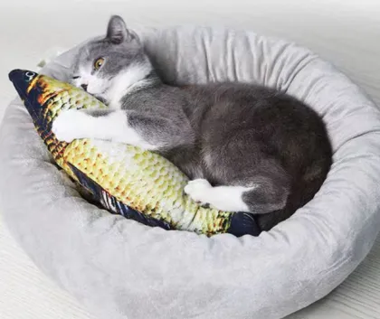 Cat Play Toys Accessories