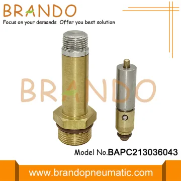 Auto LPG CNG System Solenoid Armature Repair Kit