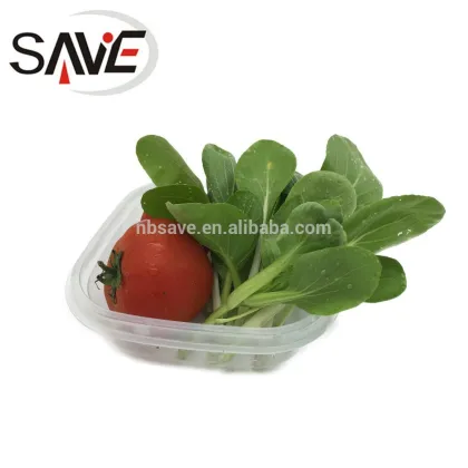 Square Disposable Foodsaver 6058