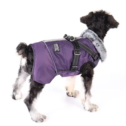 Pet themed clothing with harness