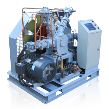 High Quality Industrial Electric Oil-Free Air Compressor & Oxygen Booster for Sale